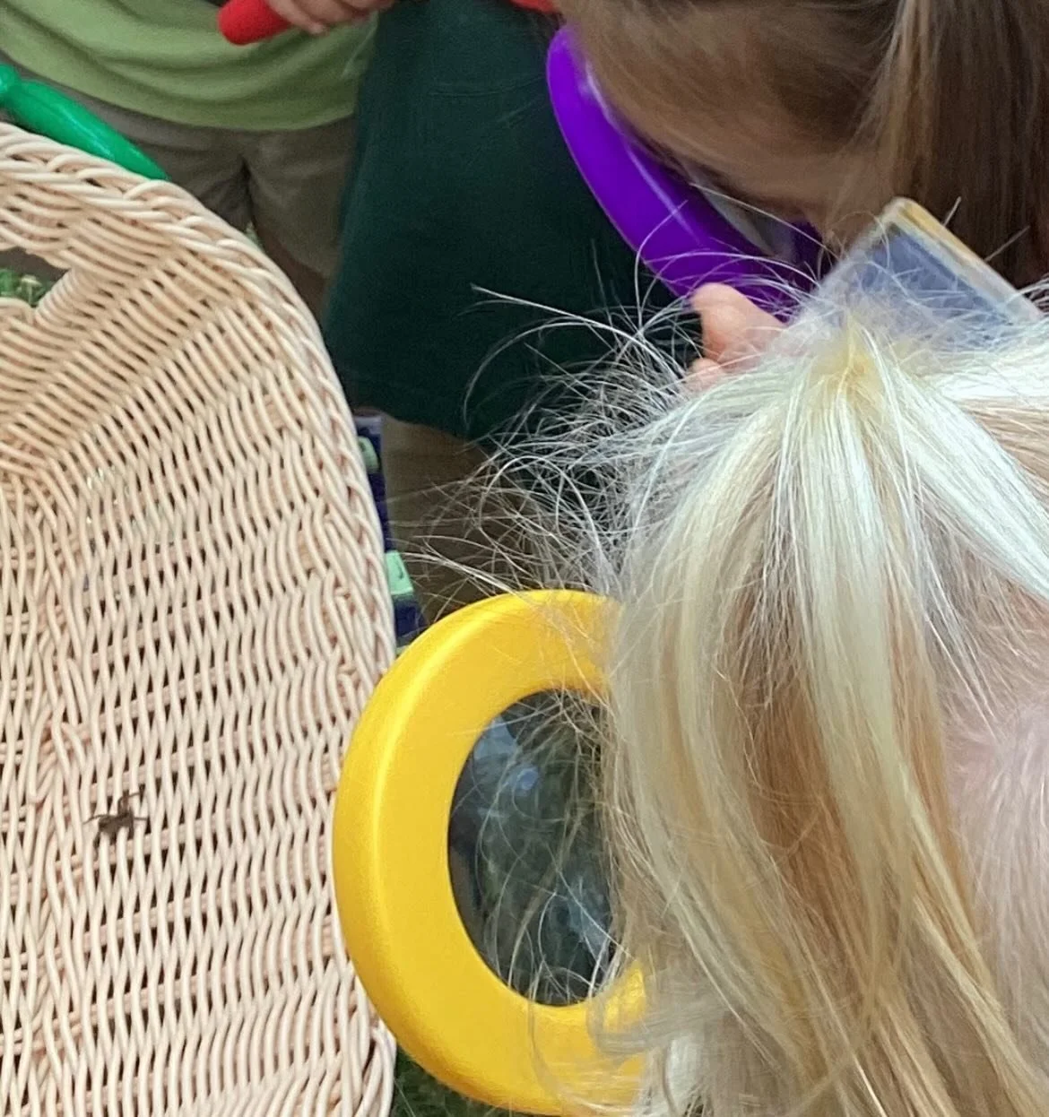 🌿✨ Learning Through Our Senses at Evergreen ✨🌿 

Children learn best when they can see, touch, hear, smell, and explore the world around them. Using our senses turns everyday moments into meaningful learning experiences! 

Why is sensory learning i