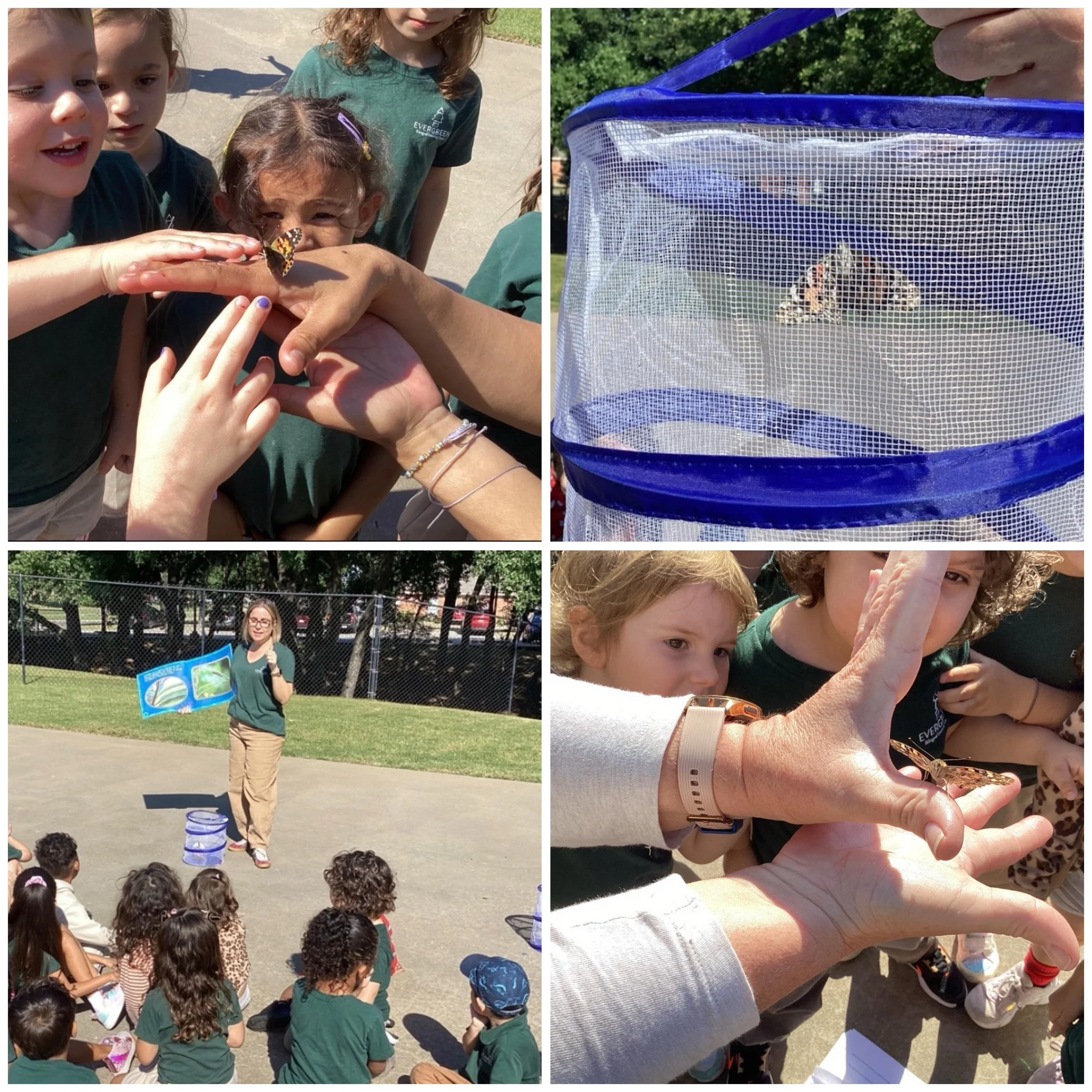 One of the most exciting parts of learning is being able to observe God&rsquo;s creation with our own eyes. Over the past few weeks, our children have been carefully watching the life cycle of a butterfly right inside our classrooms!

Through this ha