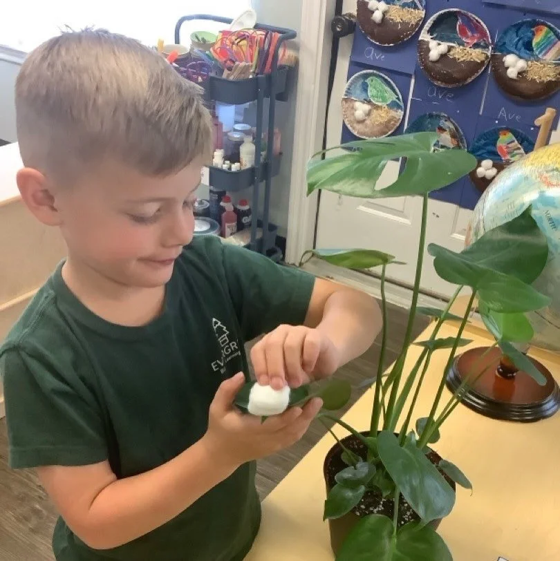 ✨ Created with Purpose ✨

This week, our children are learning how God created everything with intention and purpose! 🌎💚

Through hands-on activities, stories, and exploration, we are discovering the beauty of God&rsquo;s creation and learning that