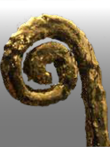 Inward-Spiral-sml.png