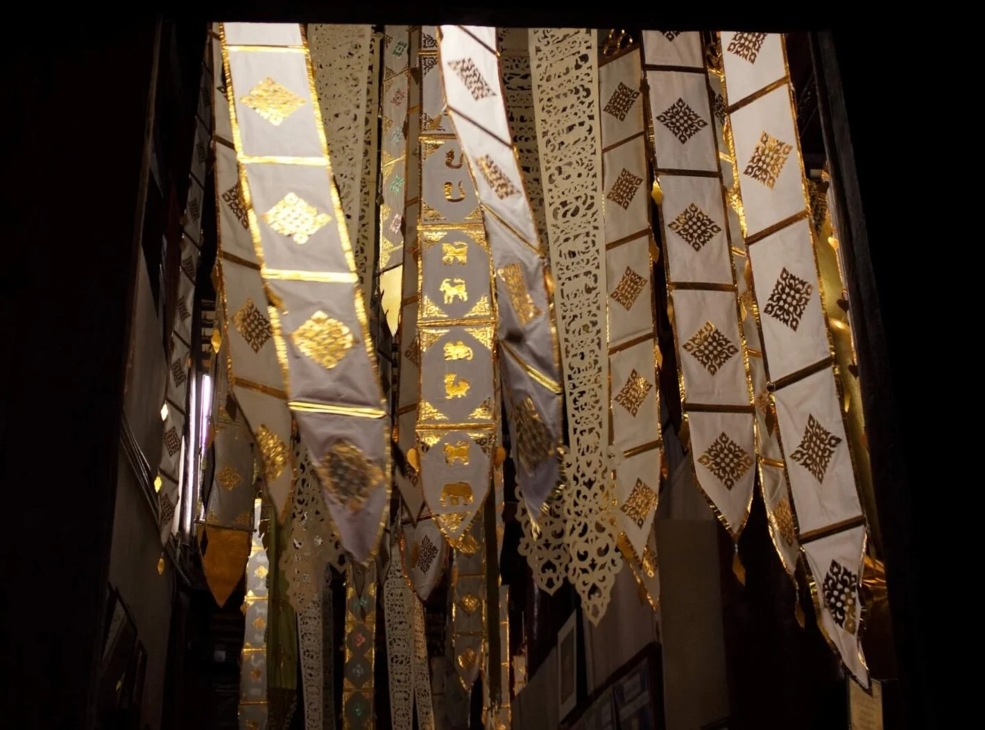 WIP: The Time of the Cassowary and Other Unexpected Stories