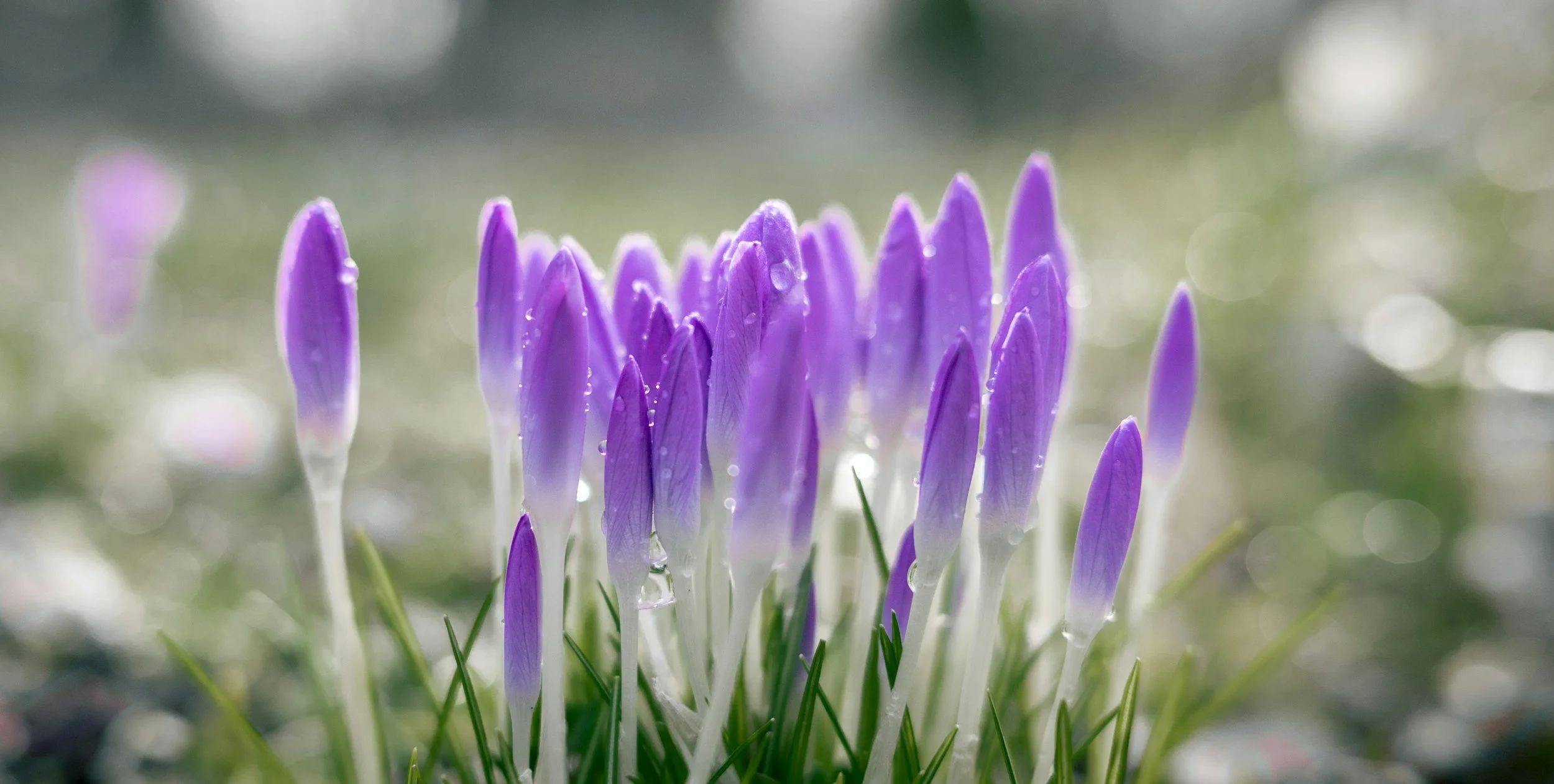 Endings, Beginnings, and the Paradox of Living Fully