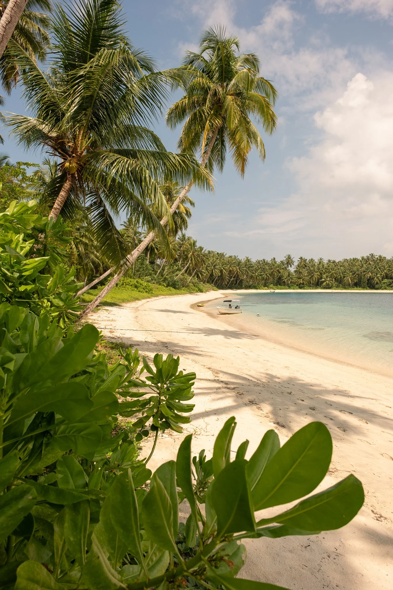 LA ISLA MENTAWAI BEACH.jpg