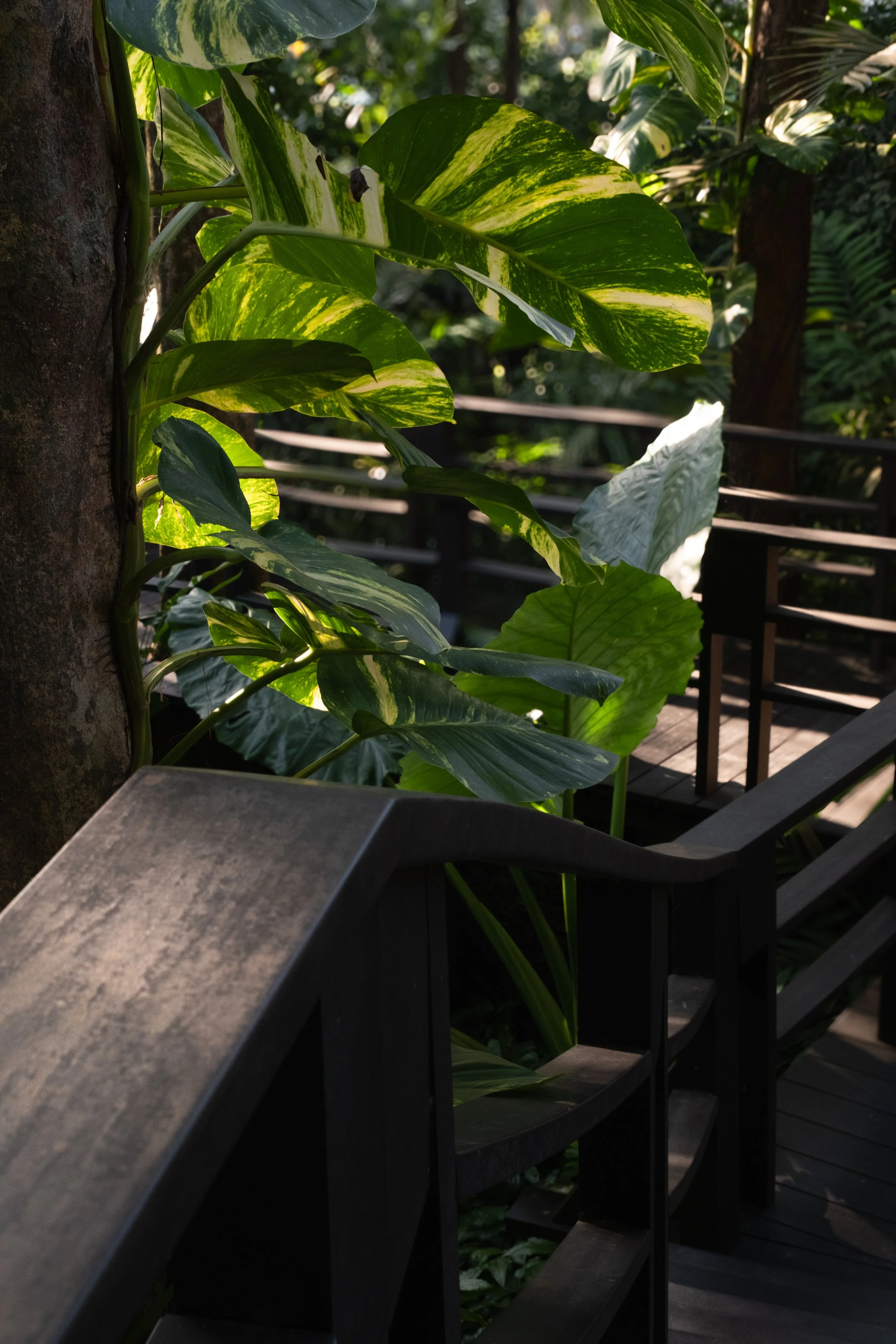 Photographie professionnelle Hotel de luxe Jardin Pimalai Koh Lanta Thailand