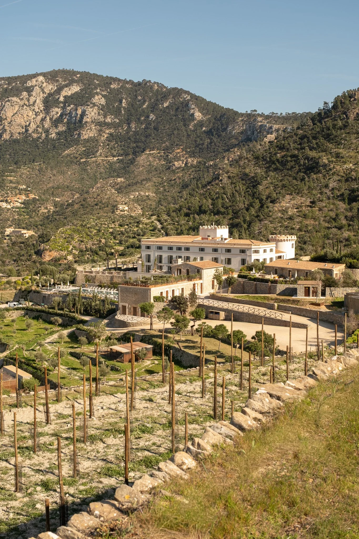 Son Bunyola_Vineyards_Luxury Hotel.jpg