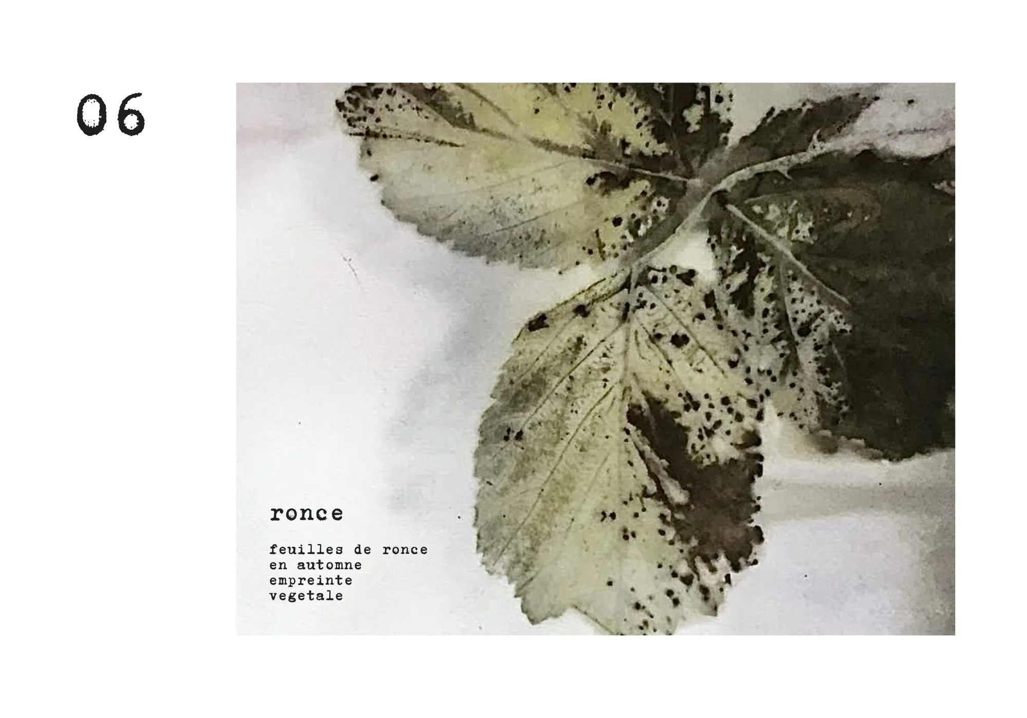 Ajouter un titre - 8.jpeg