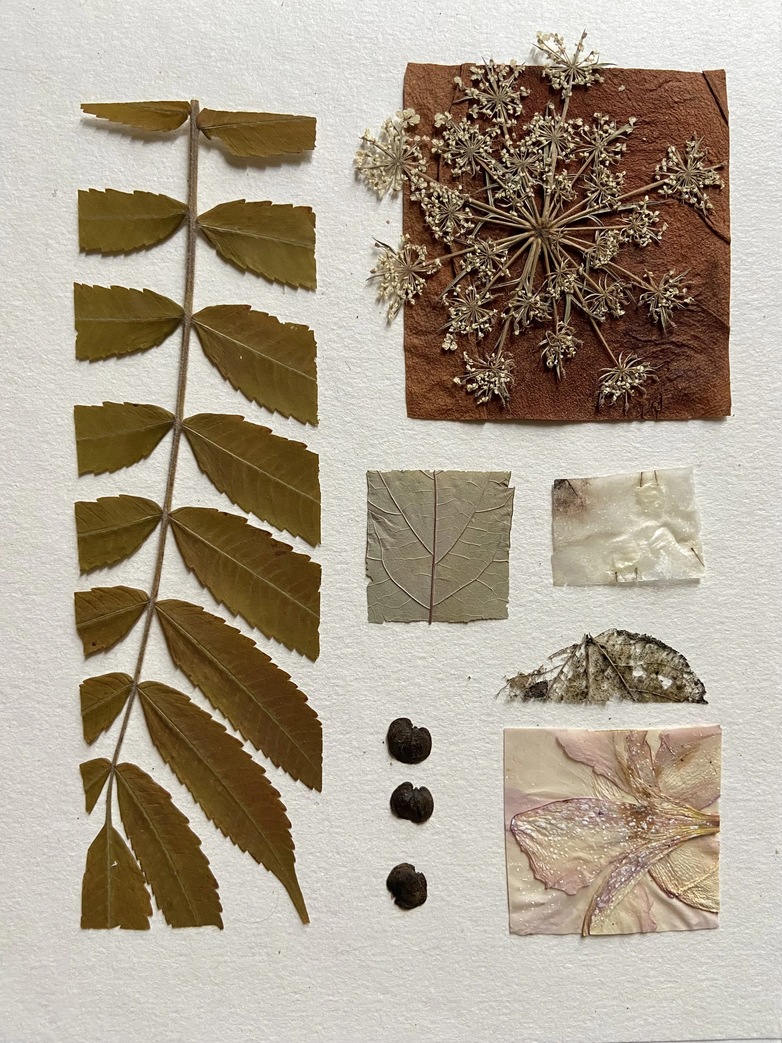 Fragments graphiques