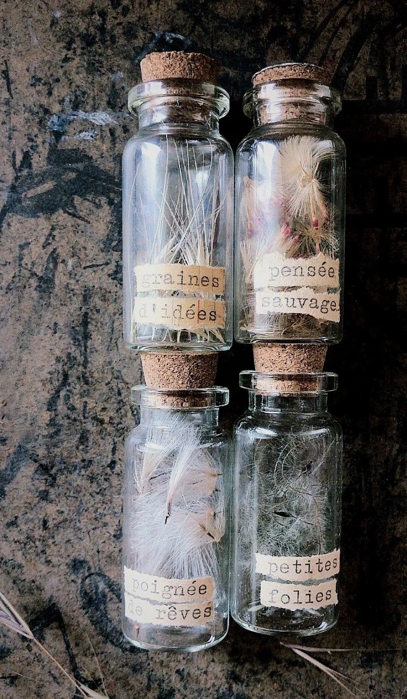 POIGNÉES DE RÊVES