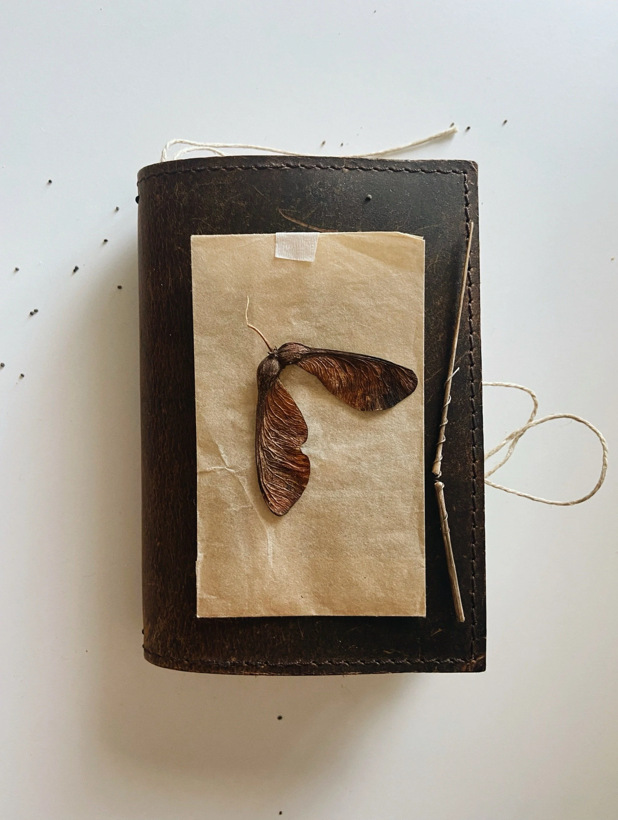 carnet de glanes - claire aggour - de glanes et d’art .cabane.