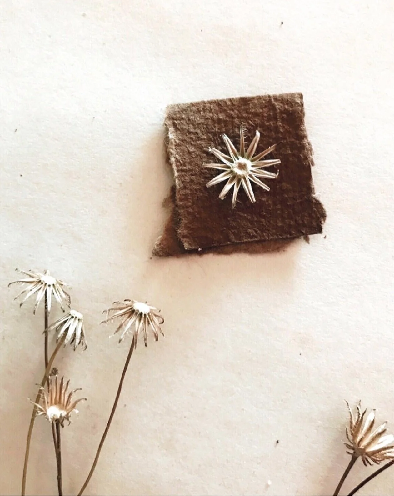 marguerite