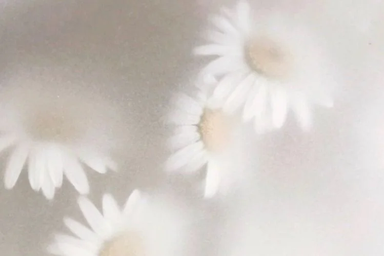 voilée, derrière un papier