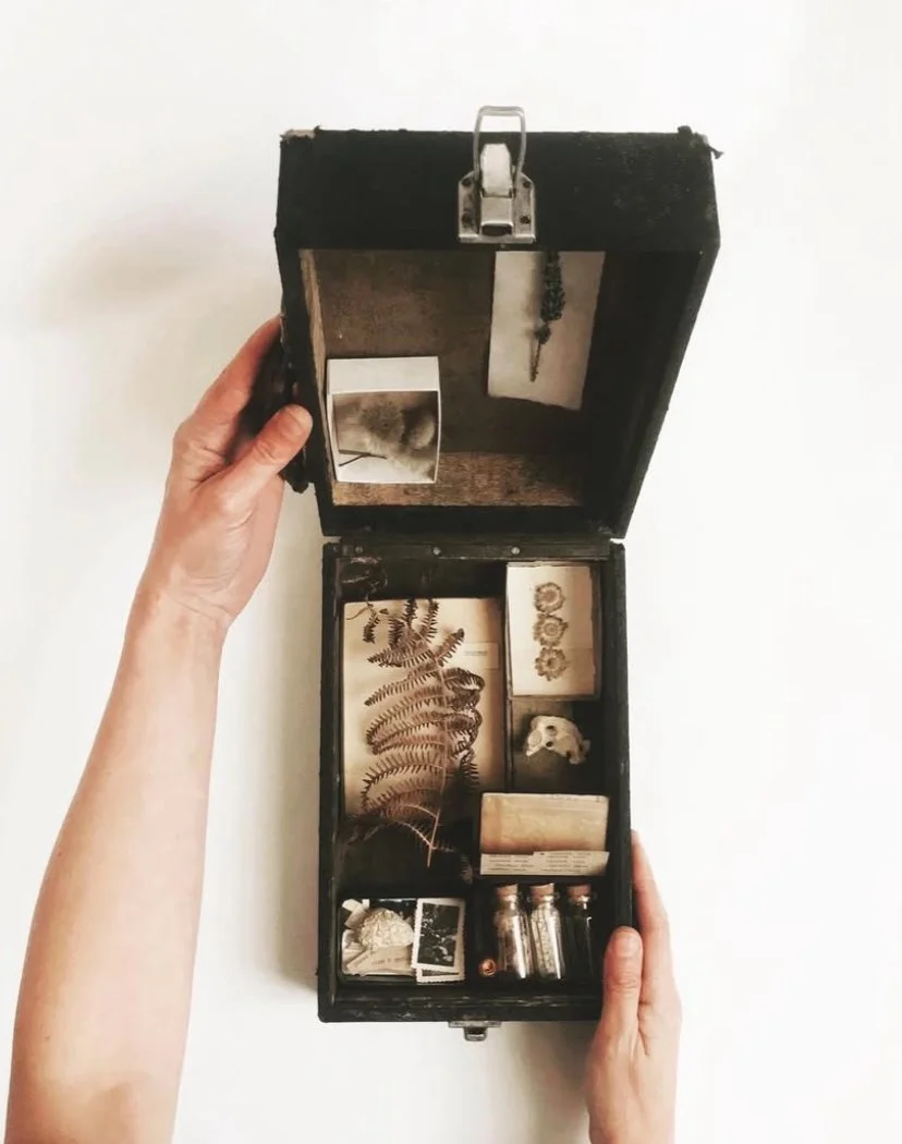 COLLECTION &amp; CURIOSITÉ