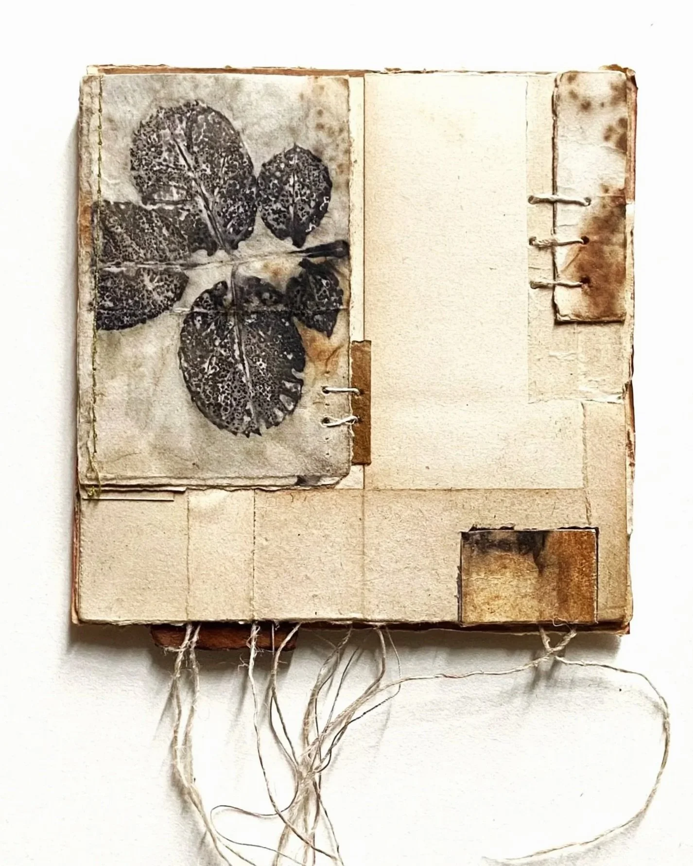      










































  

    
  
     

      

      
         
          
        
        

        
          
             
               Voir en taille réelle 
              
           
             
               