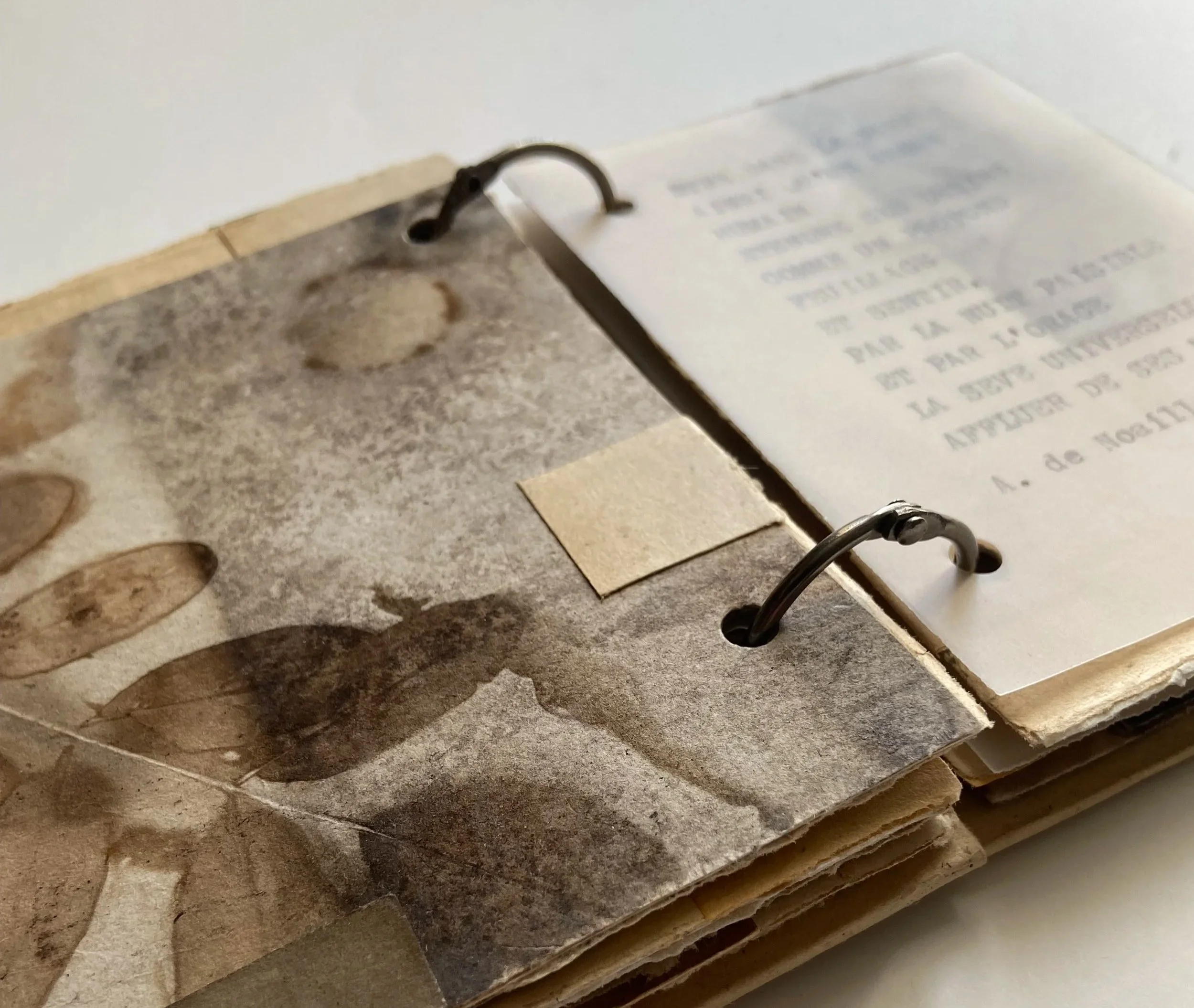 LIVRE D’ARTISTE n*2