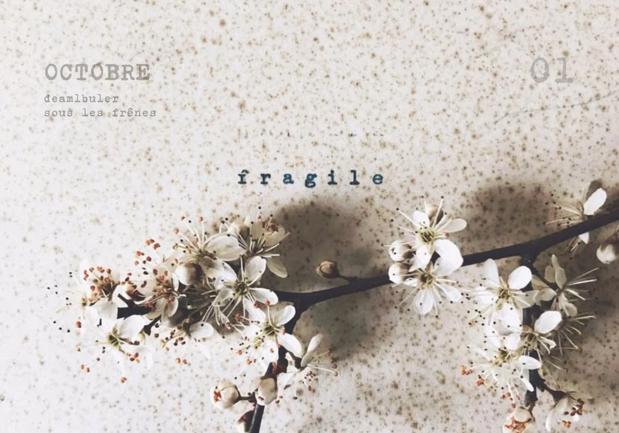 Ajouter un titre - 10.jpeg