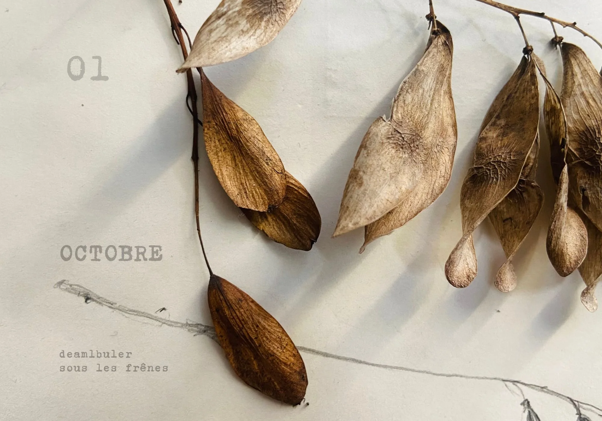 Ajouter un titre - 3.jpeg