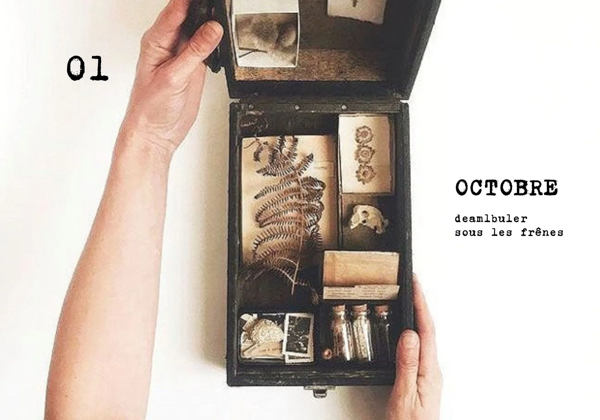 Ajouter un titre - 11.jpeg