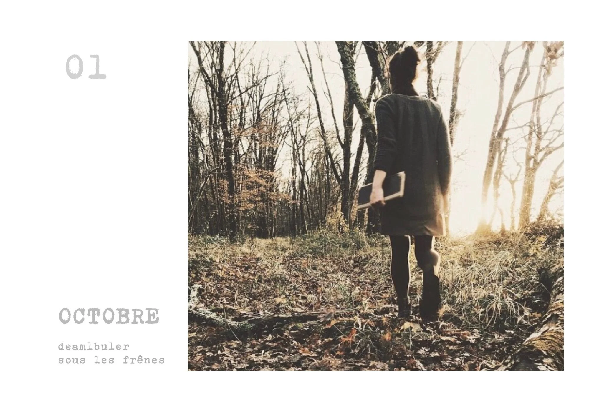 Ajouter un titre - 9.jpeg