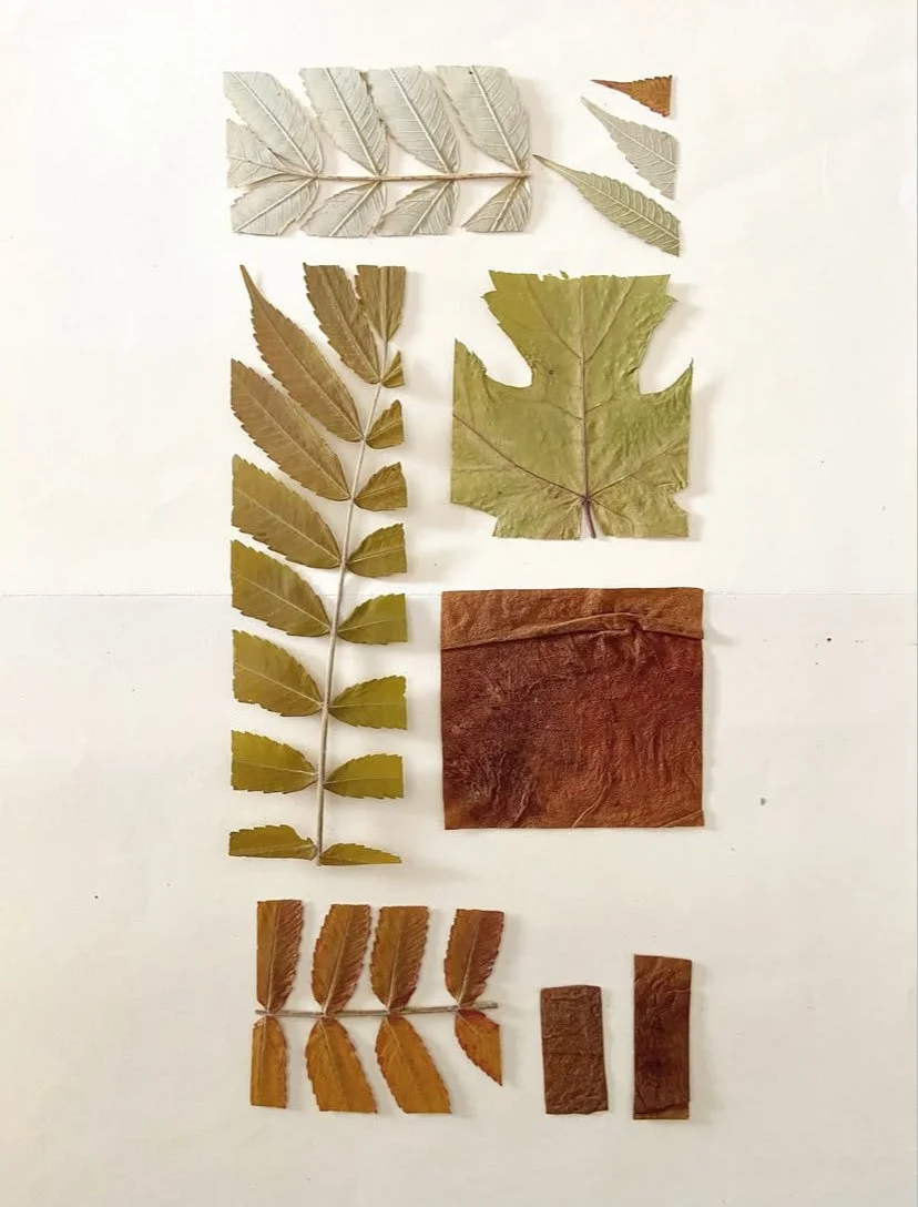 Fragments