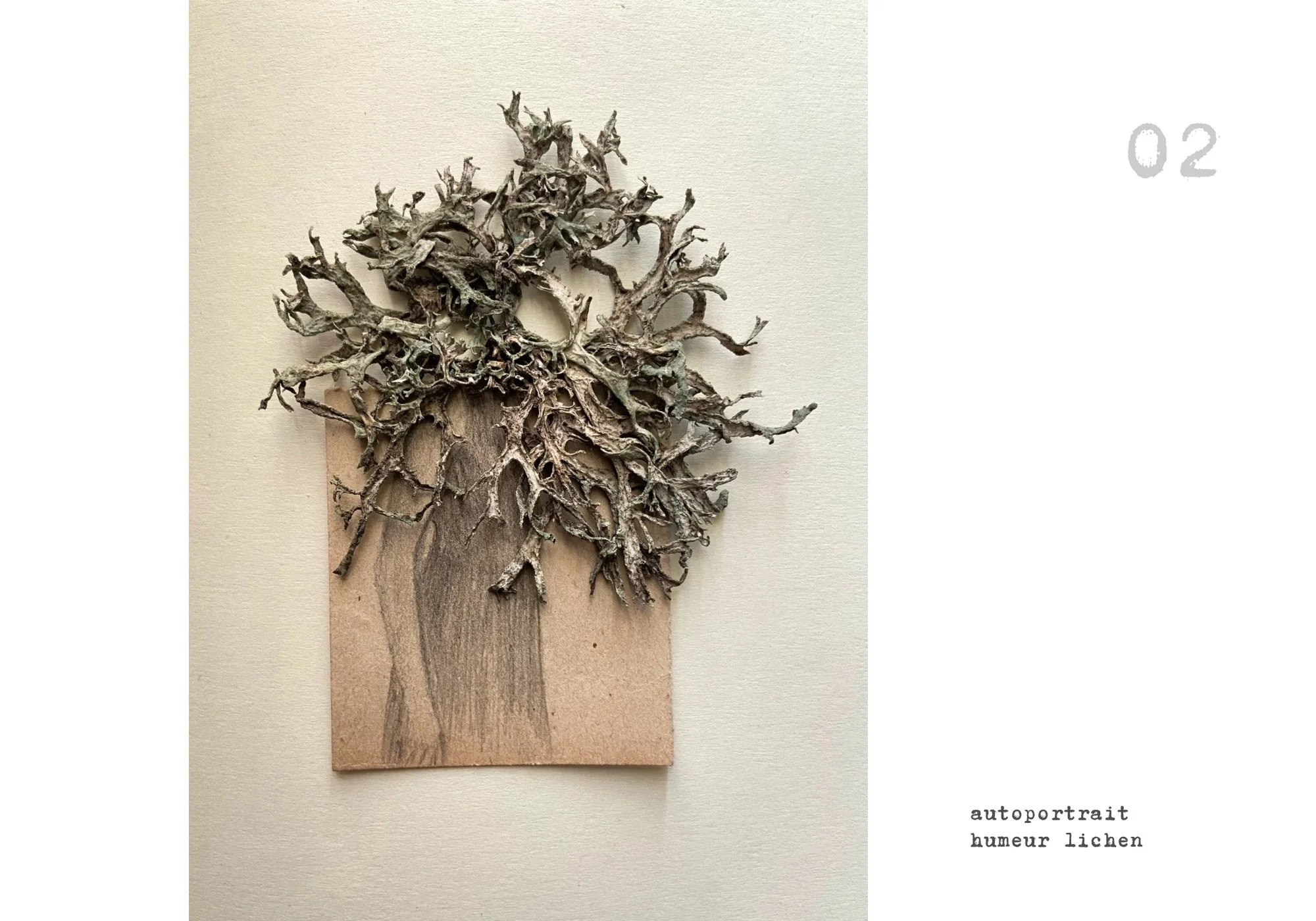 Ajouter un titre.jpeg