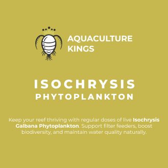 PhytoIso.png