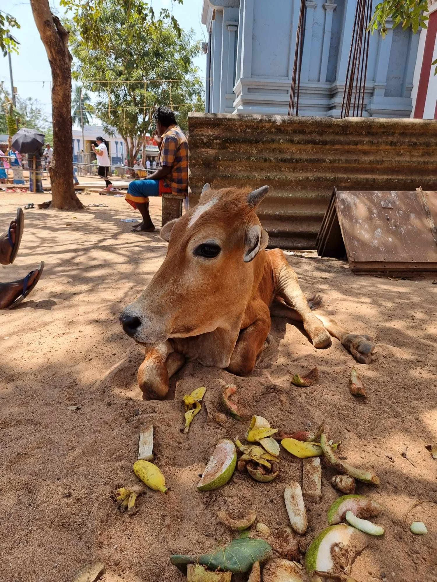 431842801_944057960558810_7376912941805777589_n (1).jpg