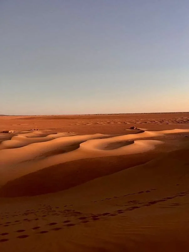 594075314_878527611352467_6708771342173802533_n.jpg