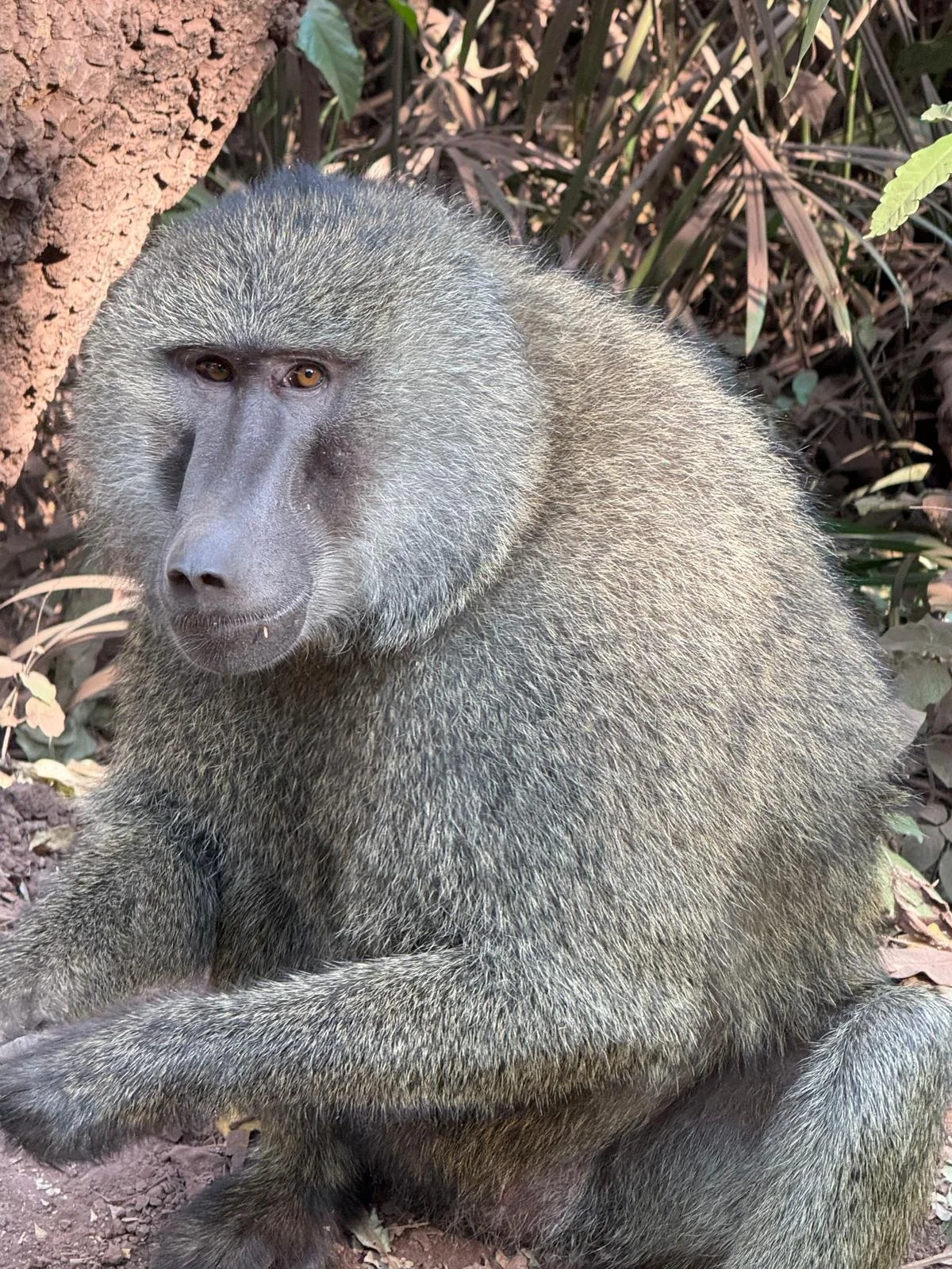 WhatsApp Image 2025-10-27 at 22.46.13.jpeg