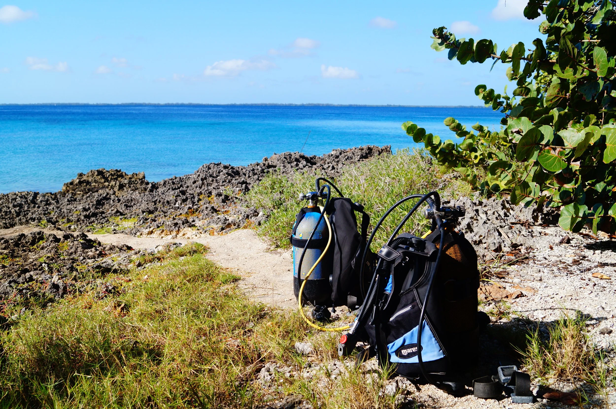 Tuba et équipement de plongée sur la plage près de la mer turquoise, avec rochers, herbe et arbre verdoyant.