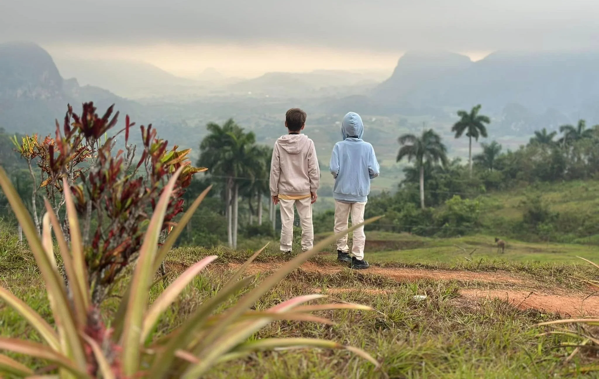 Deux enfants en vêtements décontractés regardant la campagne verdoyante et la belle vallée de Vinales avec des palmiers devant eux sous un ciel nuageux.