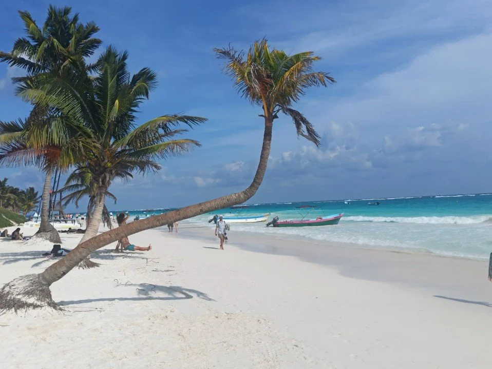 Plage de sable blanc avec des palmiers au Mexique, des personnes profitant de la plage et se promenant tranquillement sous un beau ciel bleu.