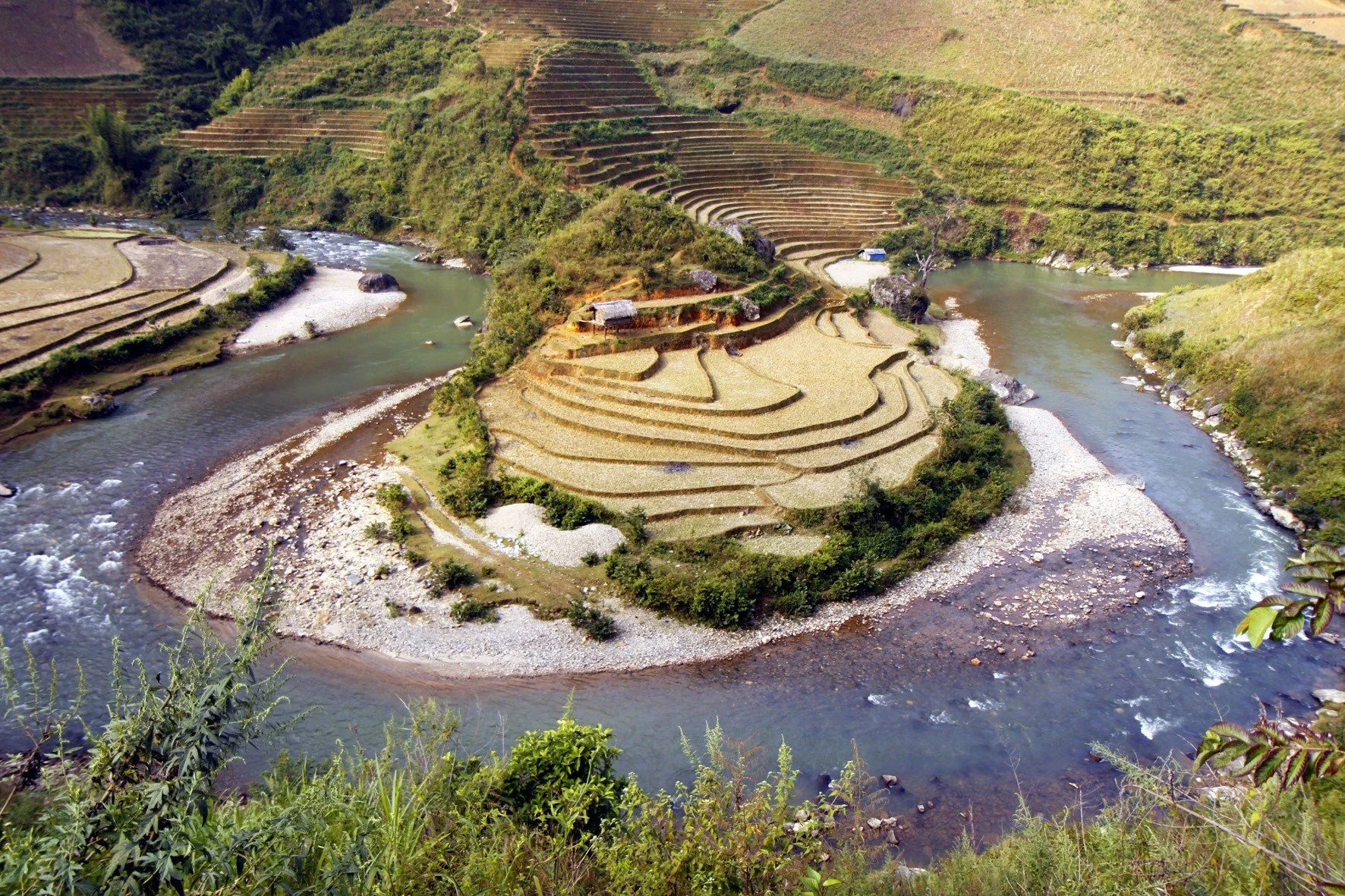 Rizieres en Novembre.jpg