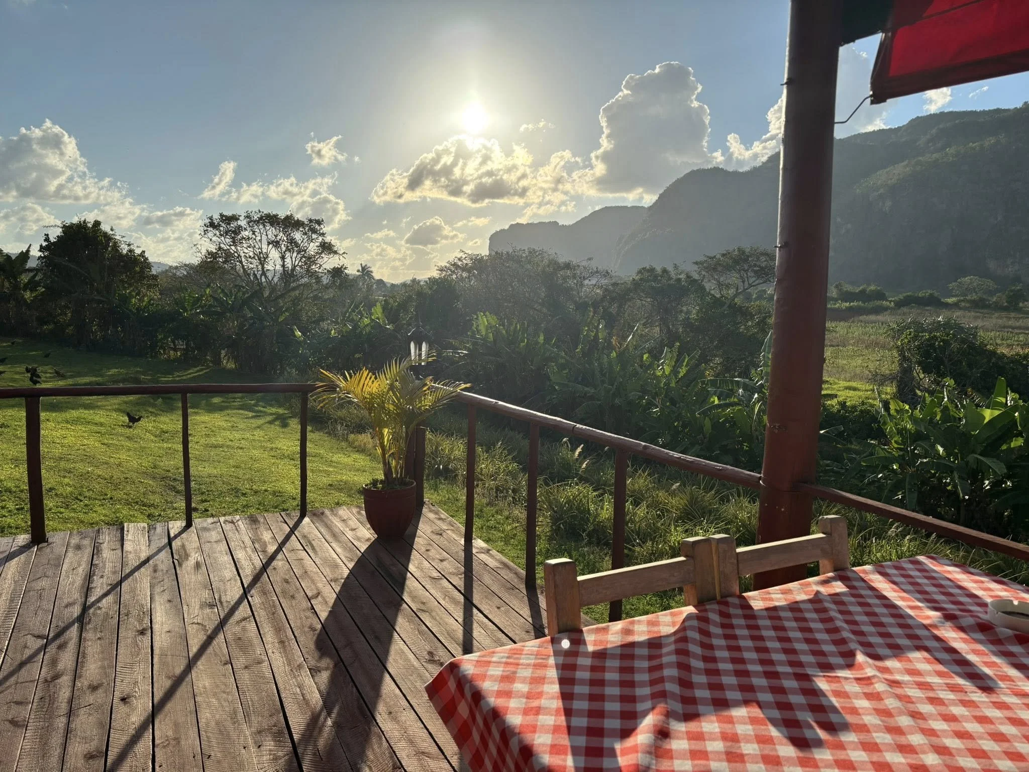 Une terrasse en bois avec une table recouverte d'une nappe à carreaux rouges et blancs, une jardinière avec une plante verte, une vue sur un paysage verdoyant avec des arbres et des montagnes en arrière-plan, et un ciel partiellement nuageux avec le 