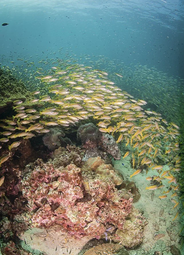 Capture d’écran 2025-06-20 135239.jpg