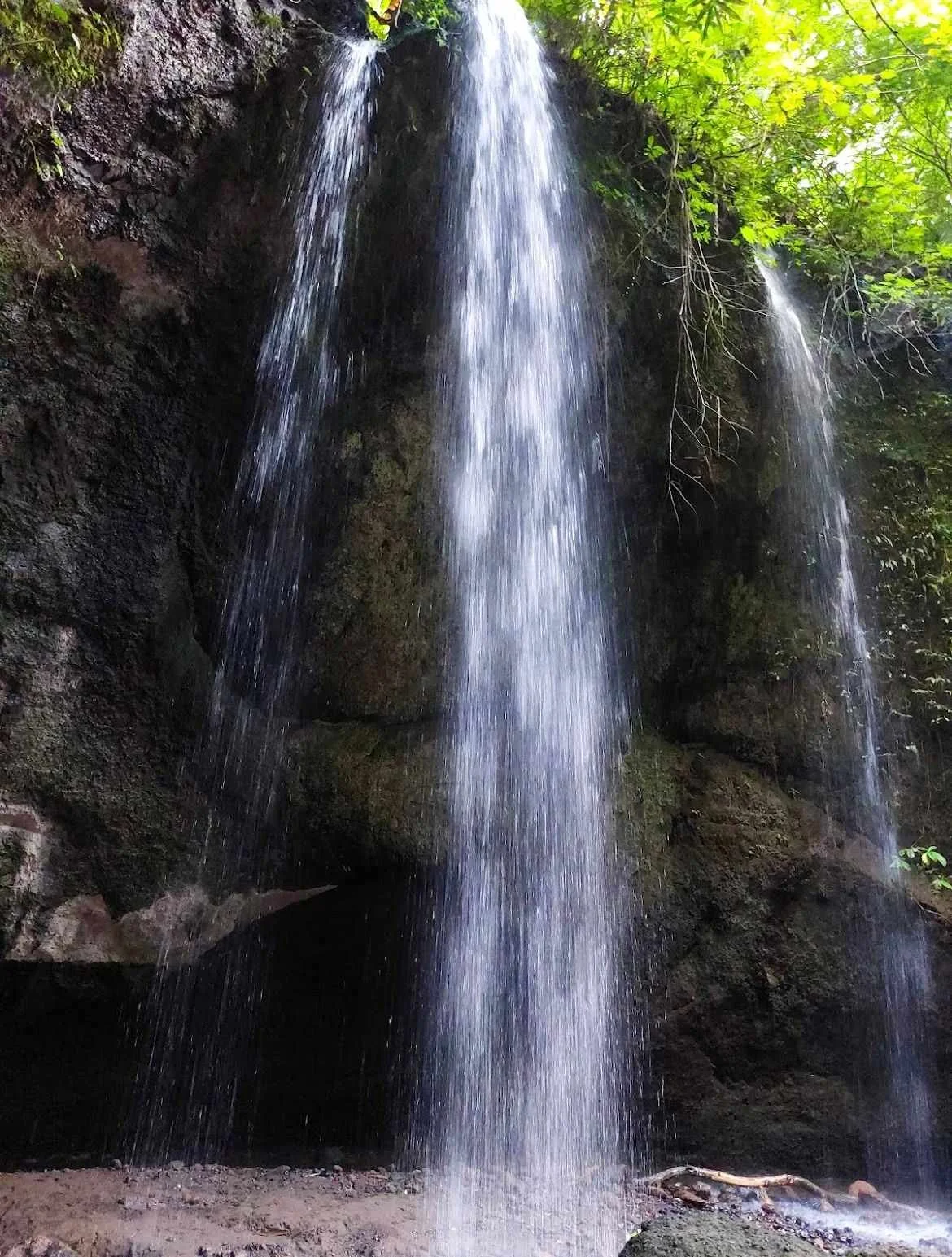 393128081_347804761313571_3057191949957496575_n (1).jpg