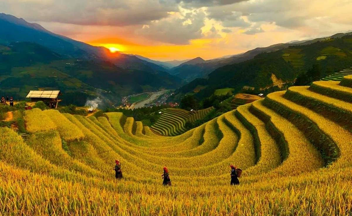 mu cang chai 13.jpg