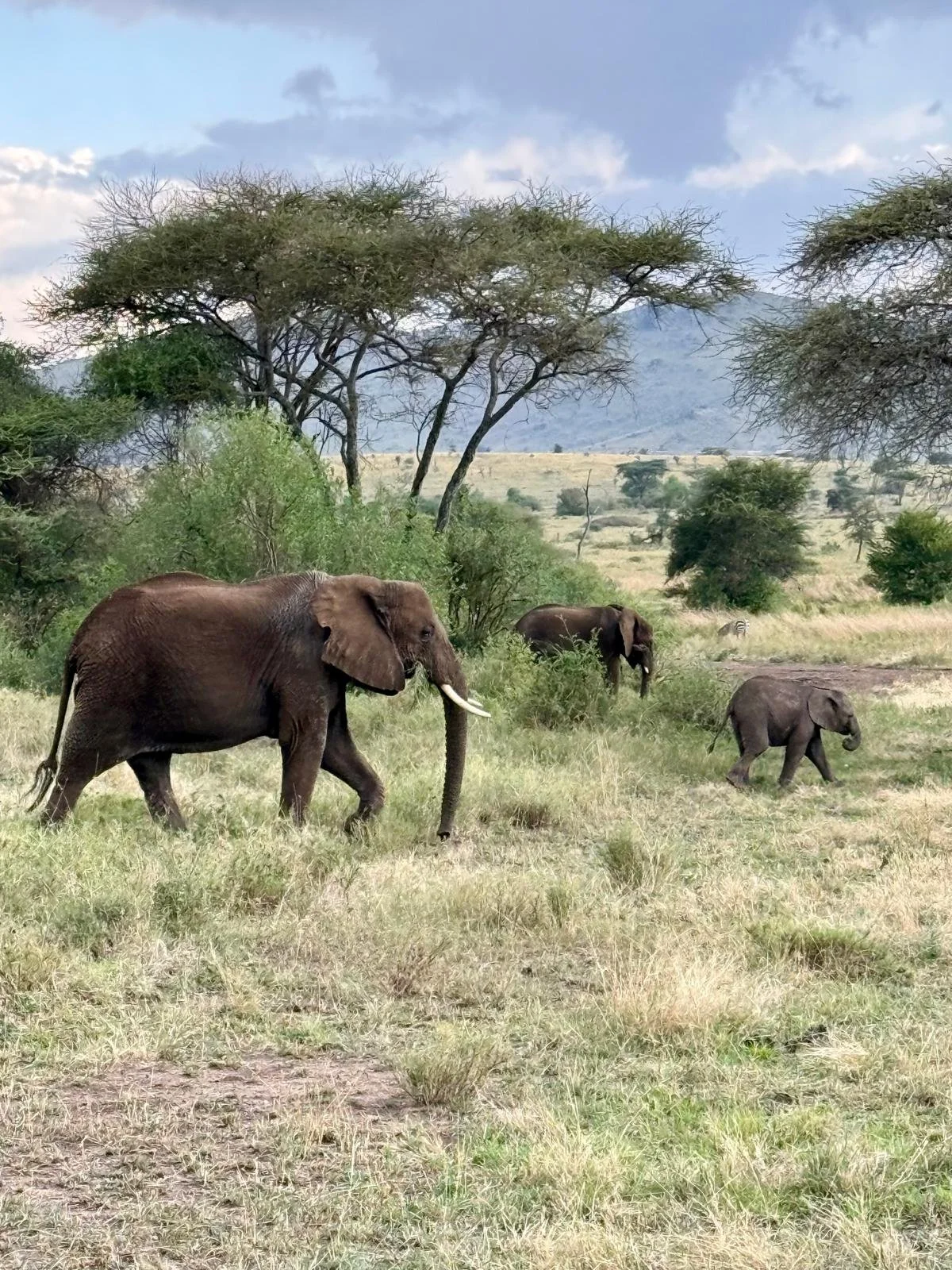 WhatsApp Image 2025-10-27 at 22.46.14.jpeg