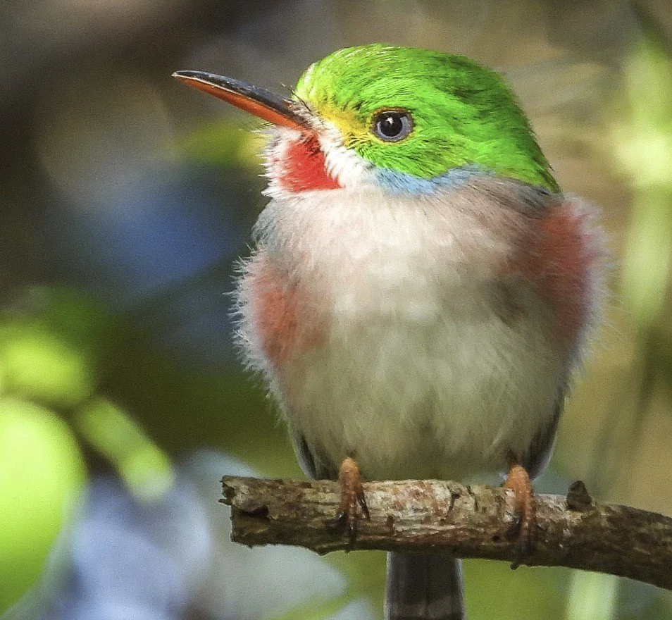 Capture d’écran 2025-06-18 004624.jpg