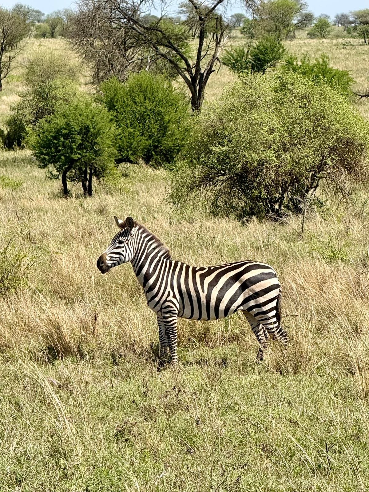 WhatsApp Image 2025-10-27 at 22.46.13 (4).jpeg