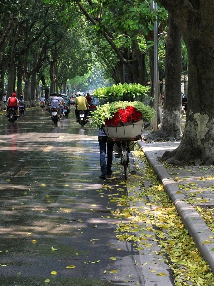 vendeuse de fleur à Hanoi.jpg
