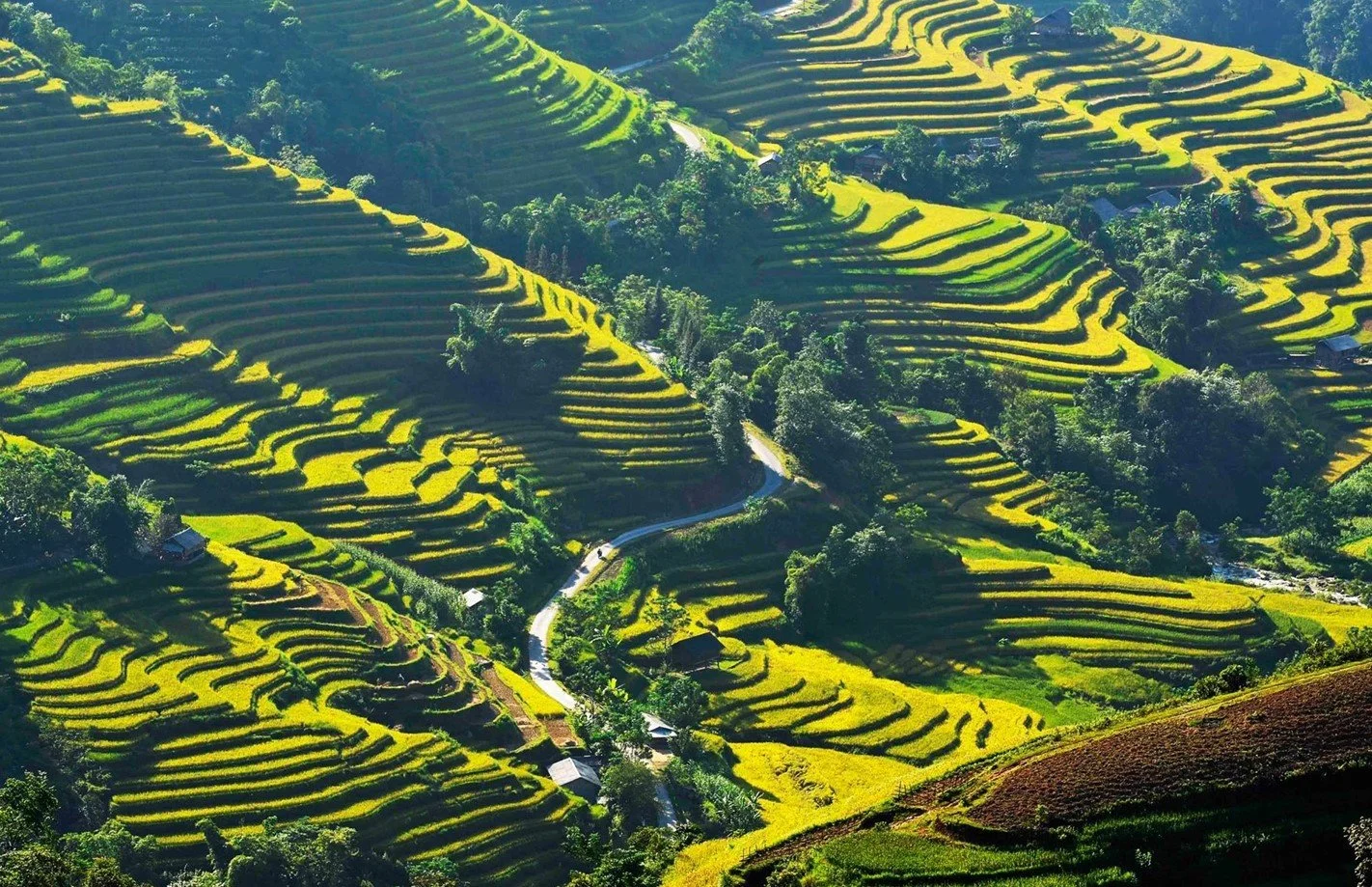 mu cang chai.jpg