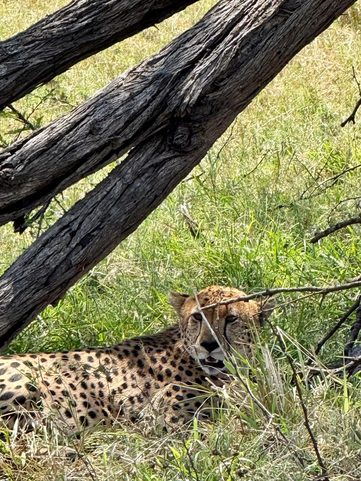 WhatsApp Image 2025-10-27 at 22.46.13 (5).jpeg