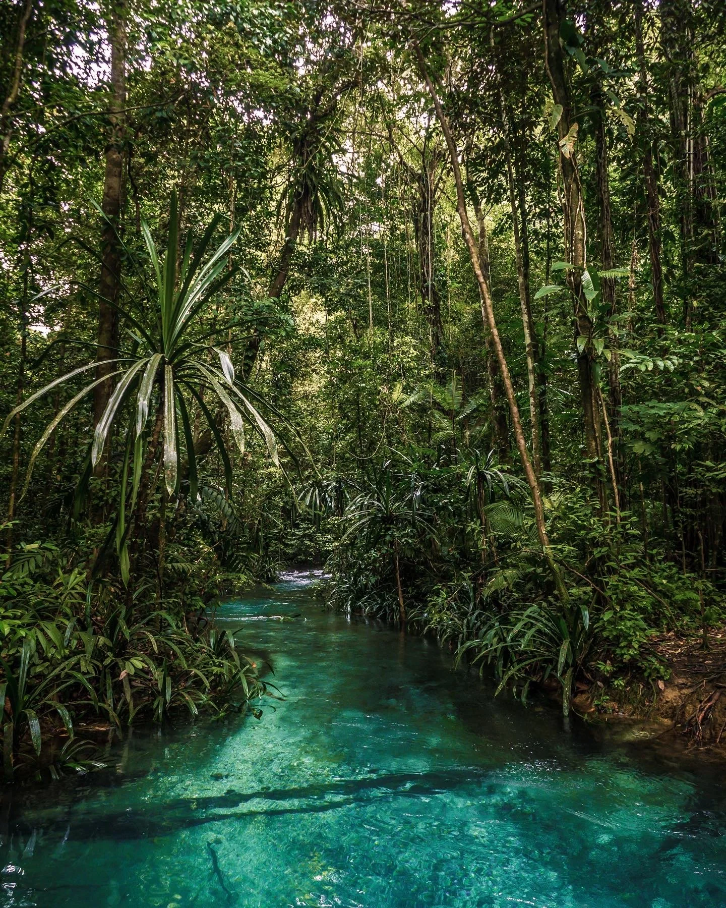 blue river raja ampat indonesie (1).jpg