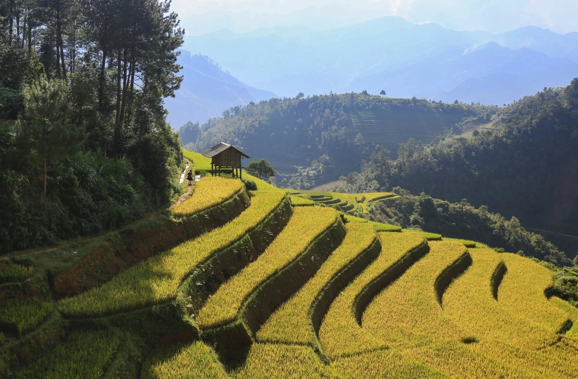 mu cang chai 6.jpg