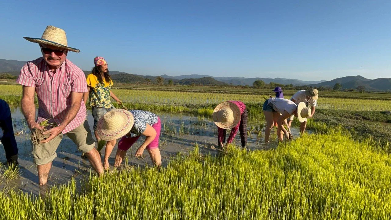 Groupe de personnes travaillant dans un champ de riz lors d'une journée ensoleillée.