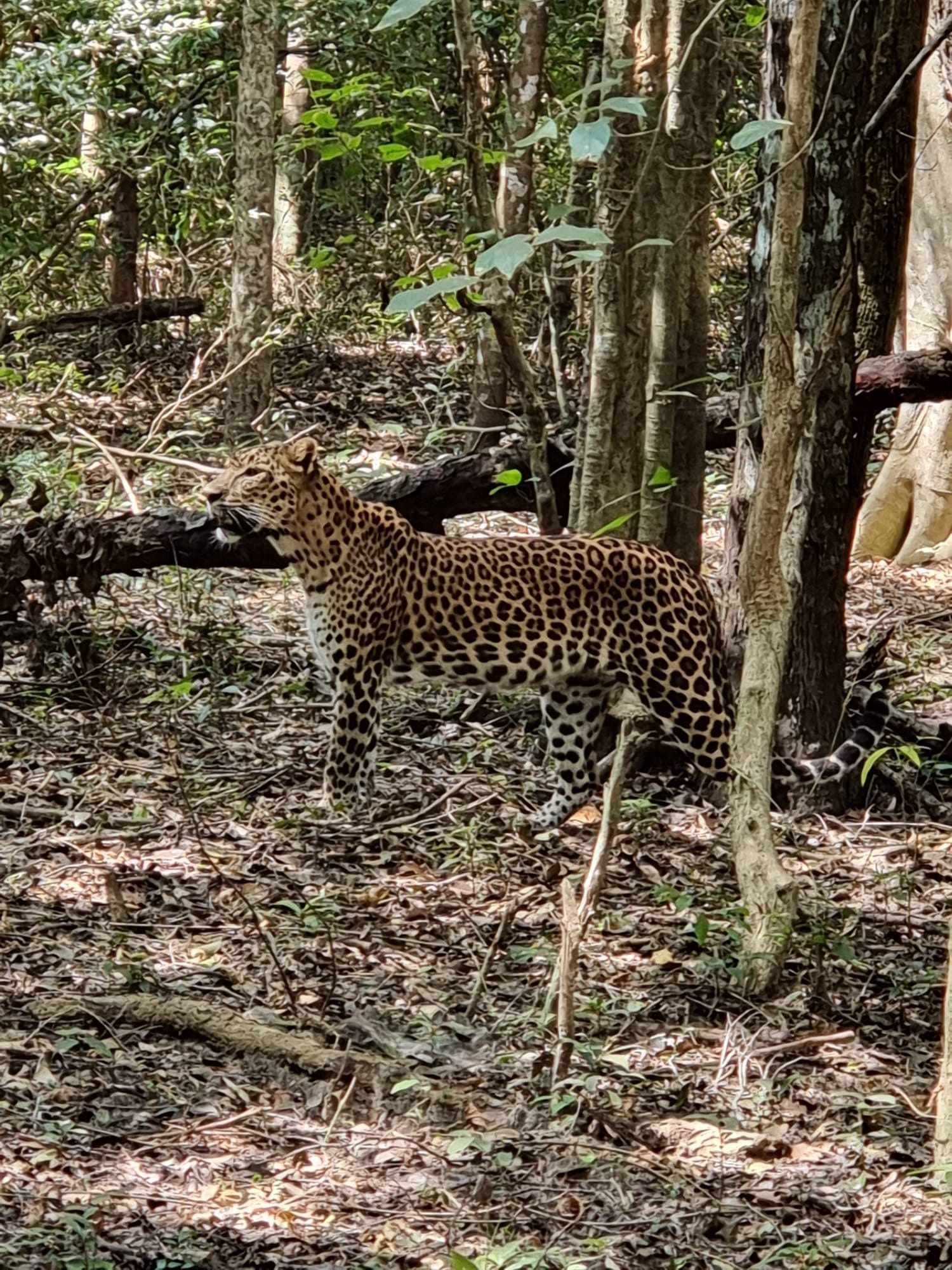 421904545_3574844686109239_4748594923824072009_n (1).jpg