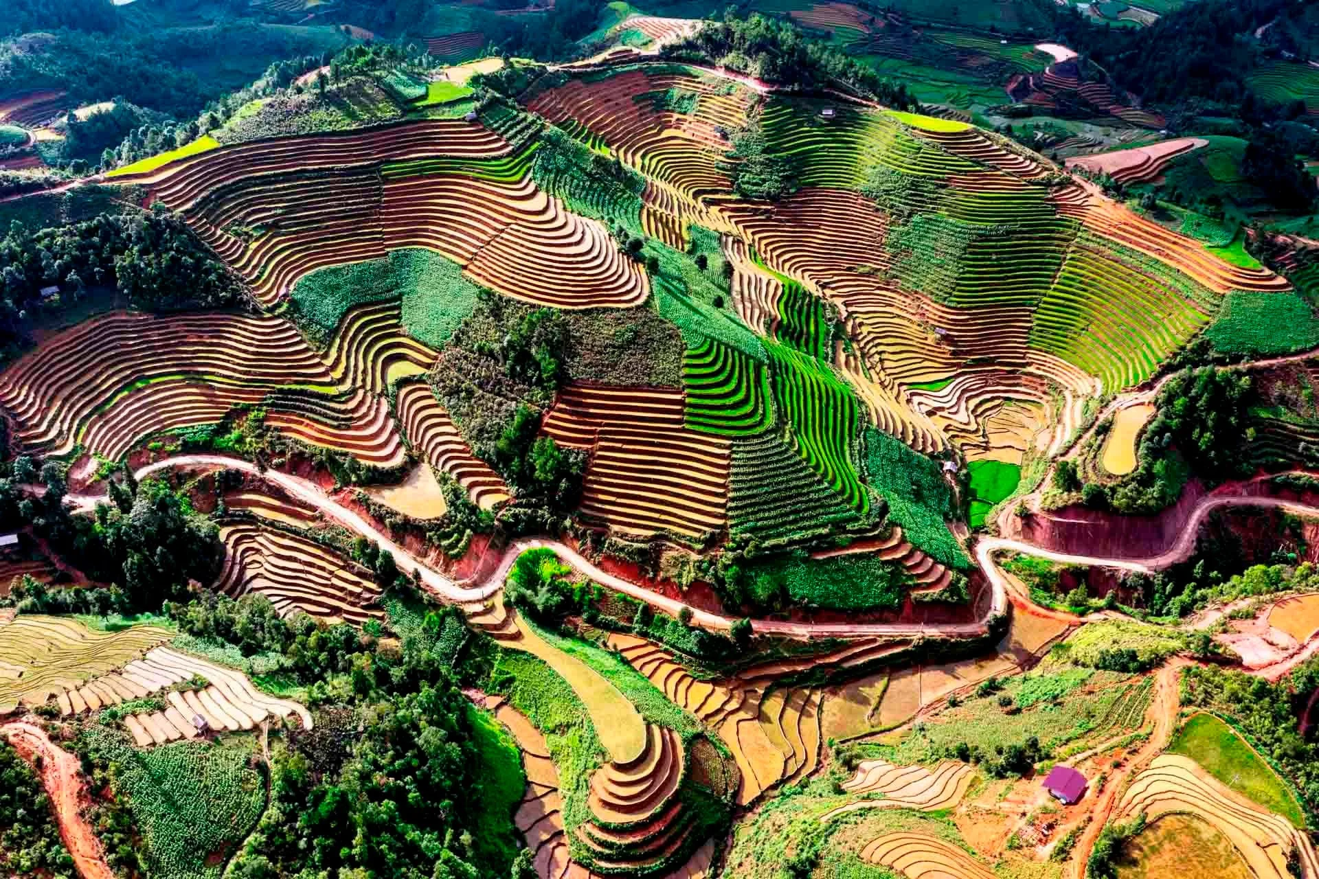 Rizieres en terrasses en mai.jpg