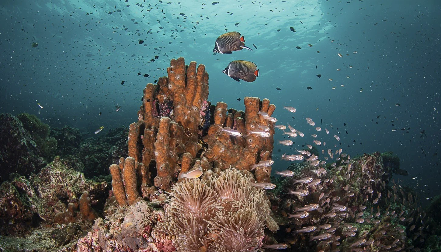 Capture d’écran 2025-06-20 135155.jpg