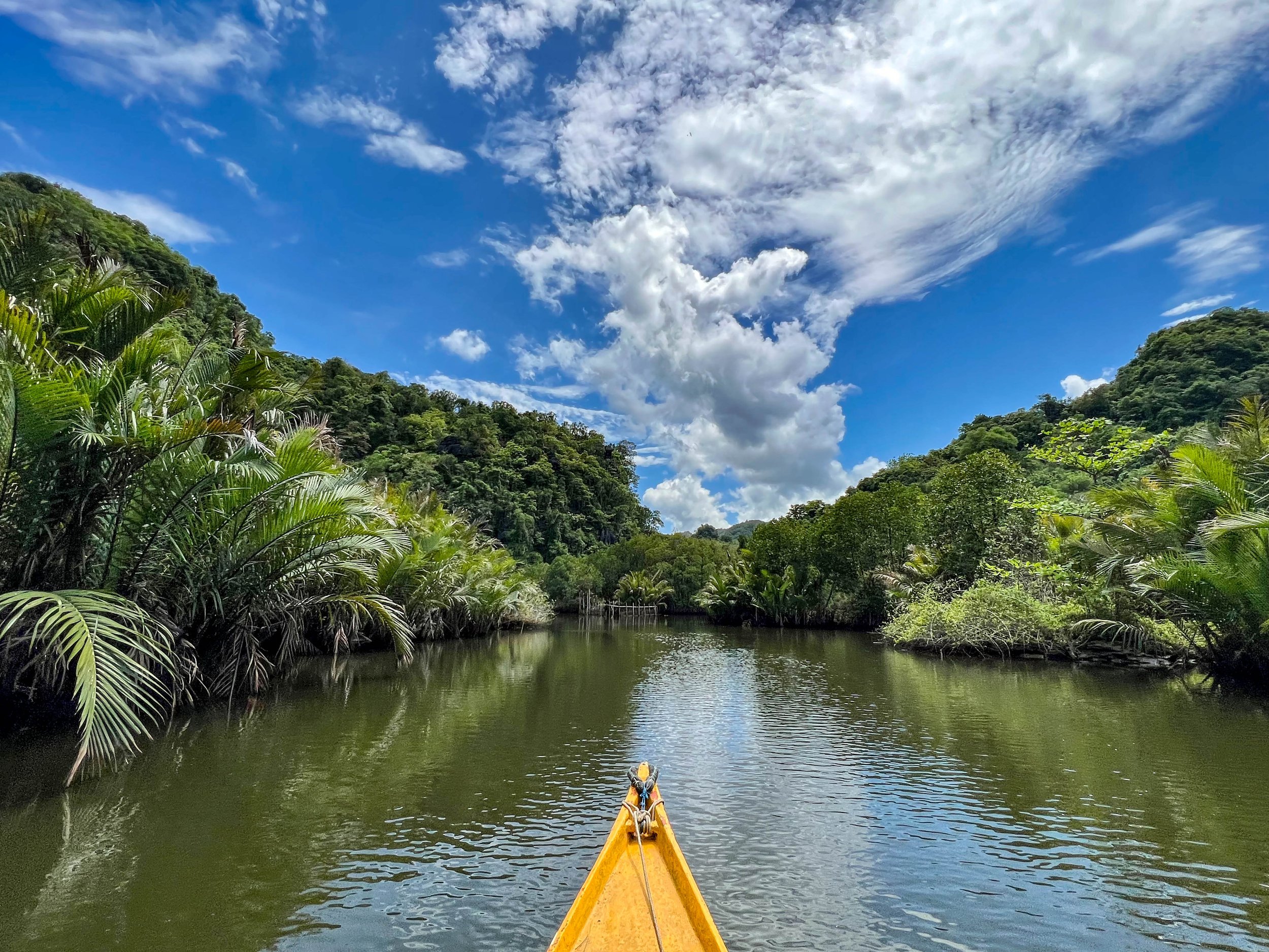 Sulawesi Rammang 17.jpg