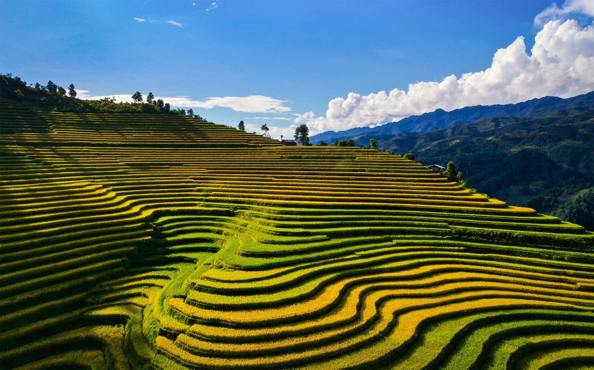 mu cang chai 5.jpg